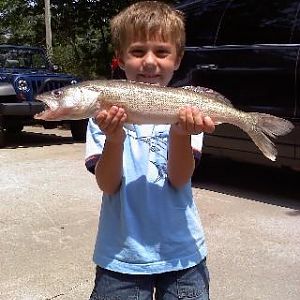 another nice walley by my 8 year old