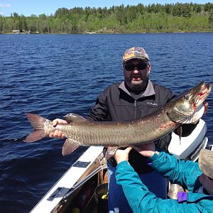 48 inch Musky caught on beautiful Lake Vermilion, Mn