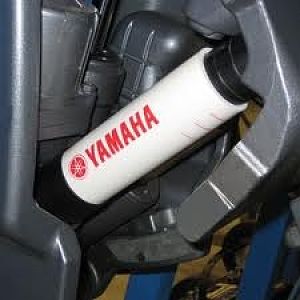 Yamaha m-y wedge