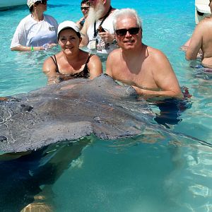 Swim with the Stinrays - Grand Cayman Islands
