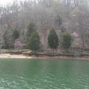 Mitchell Creek on Dale Hollow first spring cruise 2016