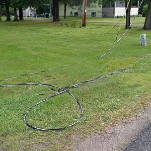 downed lines everywhere!