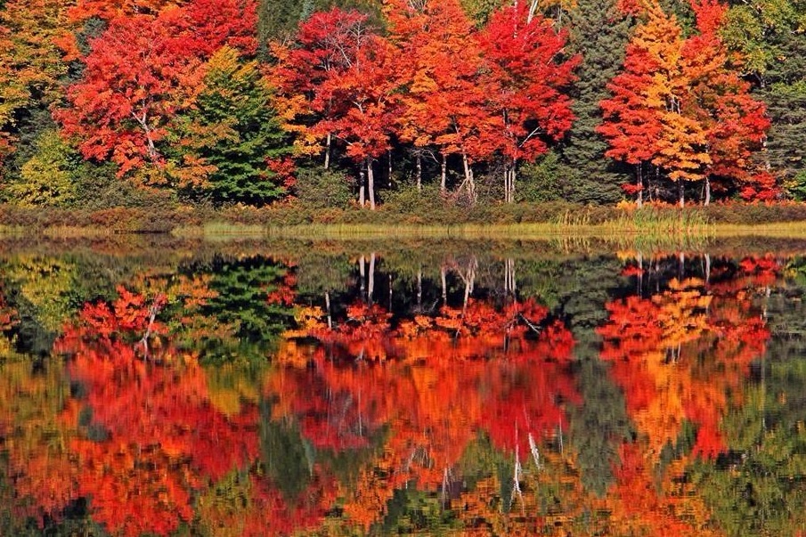 Fall boating in Michigan