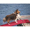 doggydock.jpg