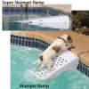 doggyramp.jpg