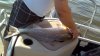 Another Redfish.jpg
