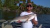 Bruce Redfish.jpg