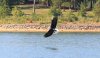 IMG_0062-2.JPG