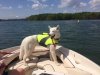 Boone at Sea.JPG Boone at Sea.JPG