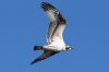 DSC06664.JPG