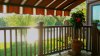 Aviewfromthedeck.jpg