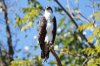 DSC07968.JPG