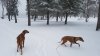 20171104_105133.jpg