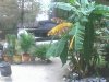 From Security Cam.jpg From Security Cam.jpg