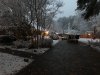 Snow Dec. 2017.jpg