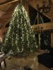 259036E0-FA0B-4B47-9B02-88430E35B4BC.jpeg