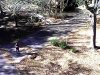 B1B45407-D7F1-468B-8962-B05D33E67698.jpeg