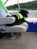 20170708_150741.jpg