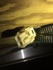 underdeck connector.JPG
