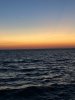 6404CD22-FD36-40BC-A929-D4E7F37E93F1.jpeg