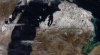 snow line.jpg