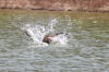 5E9D552E-1BC3-43A8-9942-0953A3A18FF4.gif