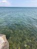 IMG_5616.jpg