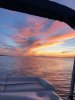 IMG_2559.JPEG