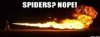 56E4953E-010B-408F-9F29-334023E6AEDB.jpeg
