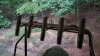 20180901_195743_resized.jpg
