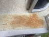 Vinyl Floors discoloration  Sept 2018.jpg