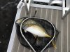 96F20925-ED81-4D17-9A77-5E88079E7733.jpeg