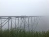 00EBEFCF-90AF-46DD-9818-C386605A7206.jpeg