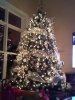 IMG_20181214_200208401.jpg