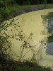 IMG_20190412_113300835.jpg