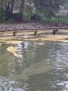 IMG_20190412_113235482.jpg