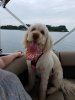 20190602_134738.jpg