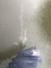 AA15DAF5-F418-44EF-81BB-B46A62B785C7.jpeg