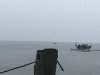 332784E2-512C-4252-B864-63328BF81F74.jpeg
