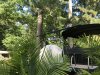 7D746FFE-683B-4AE7-B0F6-1B775682F838.jpeg
