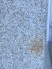 5D37D2DC-A061-42D5-83FD-5BCFE9BBEBFA.jpeg