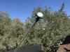 9046D546-4225-4890-8F1F-B482BBC5B065.jpeg