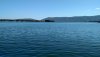 IMG_20191003_140701949.jpg