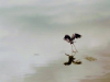 1581565029665.png
