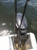 IMG_20200630_124406.jpg