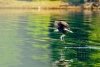 FB1C6B55-AD98-46FC-A91F-420192406E6D.jpeg