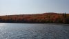 20200926_145120.jpg