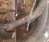 20201107_124238.jpg