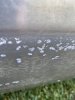 3E2CD934-4945-4DBA-8CC5-134DF691527B.jpeg