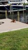 20190612_095637.jpg